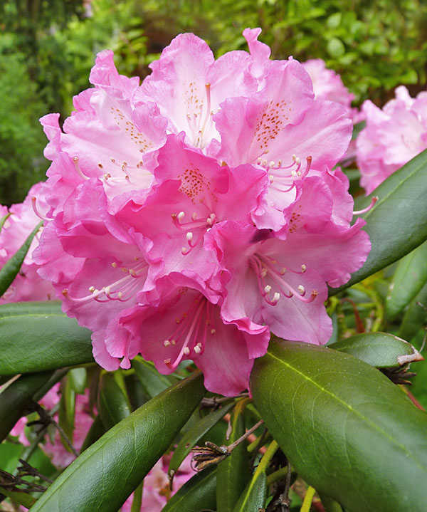 RDPI Midlife Matters RDPI Midlife Matters